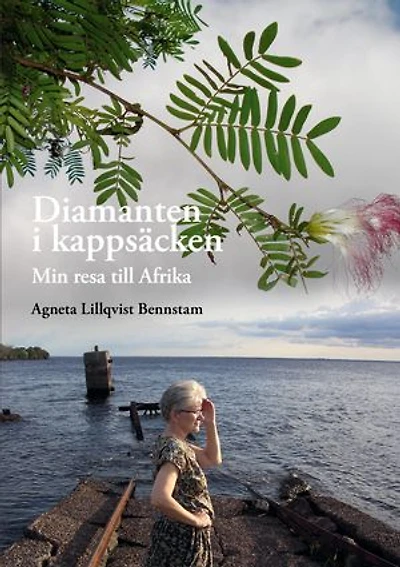 Diamanten i kappsäcken: Min resa till Afrika