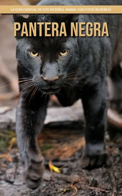Pantera negra: La guía esencial de este increíble animal con fotos increíbles