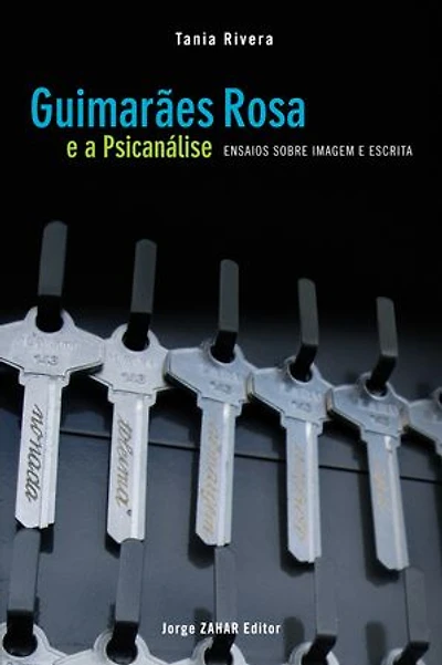 Guimarães Rosa e a psicanálise: Ensaios sobre imagem e escrita