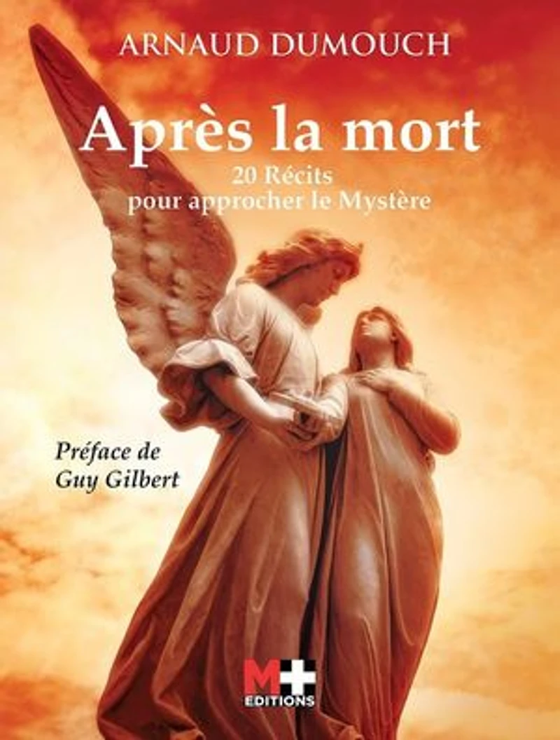 Après la mort: 20 récits pour approcher le mystère