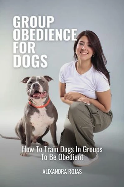Group Obedience For Dogs How To Train Dogs In Groups To Be Obedient