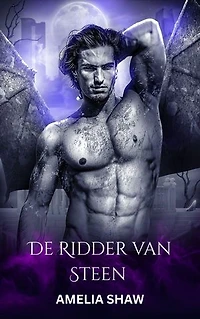 De Ridder van Steen