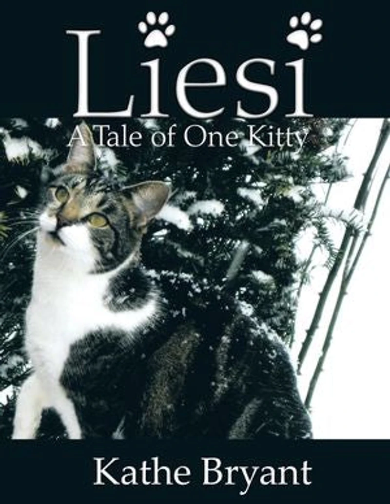 Liesi: Tale Of One Kitty