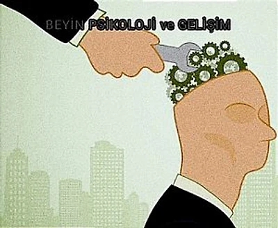BEYİN PSİKOLOJİ ve GELİŞİM