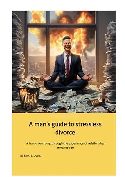 A man's guide to stressless divorce: A humorous romp through the experience of relationship armageddon