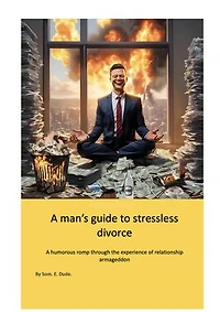 A man's guide to stressless divorce: A humorous romp through the experience of relationship armageddon