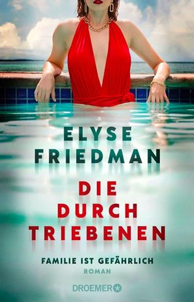 Die Durchtriebenen: Familie ist gefährlich. Roman | Bitter-böser Familien-Thriller aus Kanada