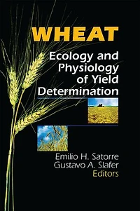 Wheat: Ecology And Physiology Of Yield Determination