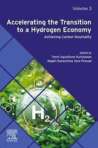 Accelerating the Transition to a Hydrogen Economy: Achieving Carbon Neutrality