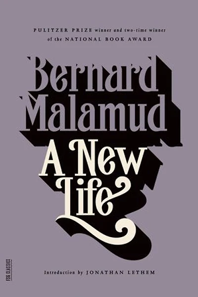 A New Life: Novel
