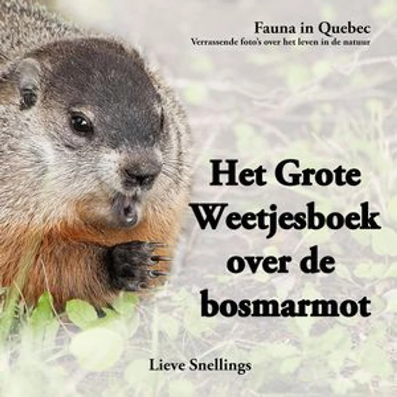 Het Grote Weetjesboek over de Bosmarmot: Verhalen van marmotten, eekhoorns en tamias (aardeekhoorns), #2
