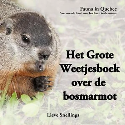 Het Grote Weetjesboek over de Bosmarmot: Verhalen van marmotten, eekhoorns en tamias (aardeekhoorns), #2