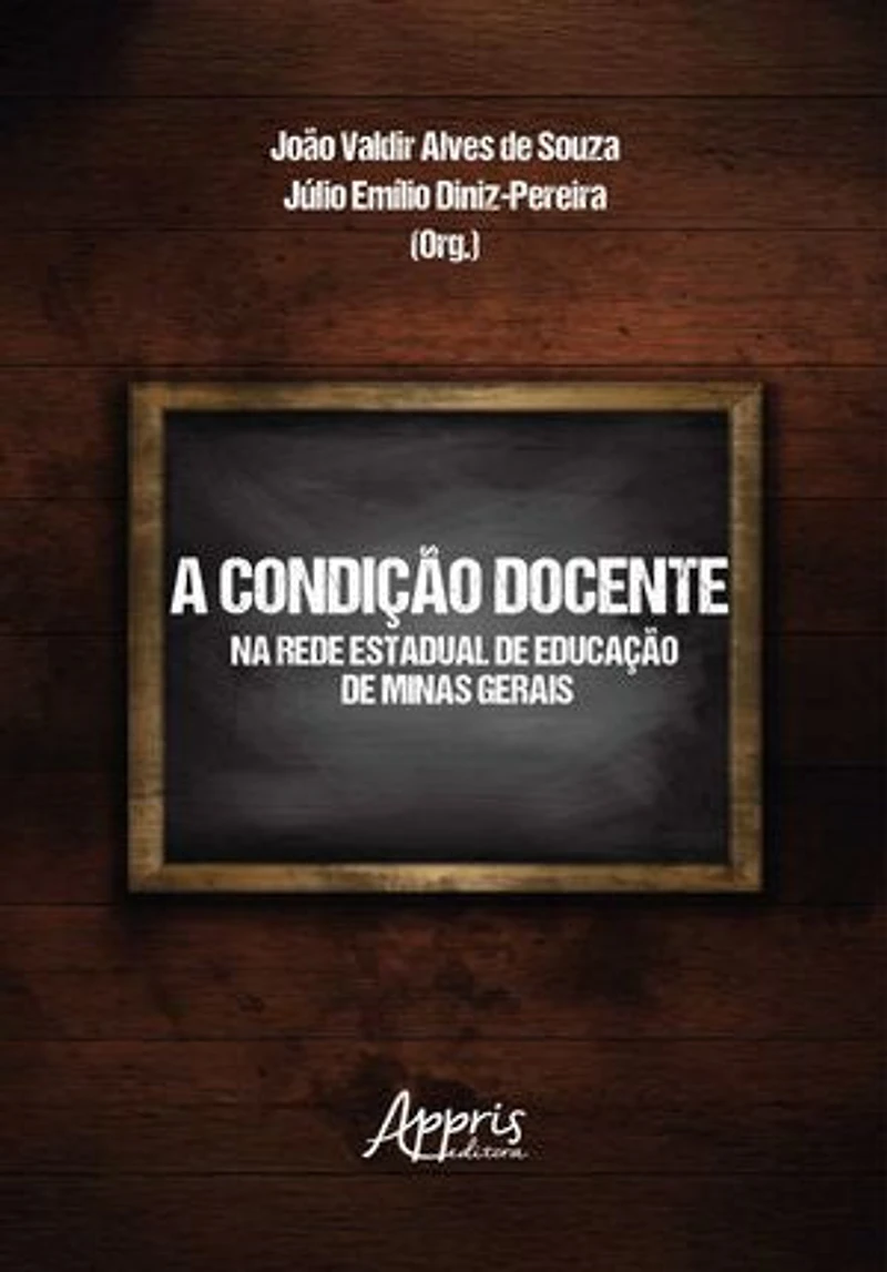 A Condição Docente na Rede Estadual de Educação de Minas Gerais