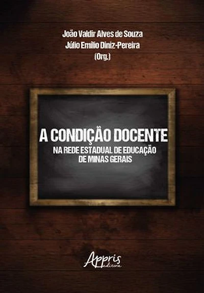 A Condição Docente na Rede Estadual de Educação de Minas Gerais