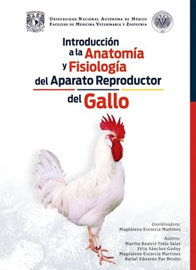 Introducción a la anatomía y fisiología del aparato reproductor del gallo