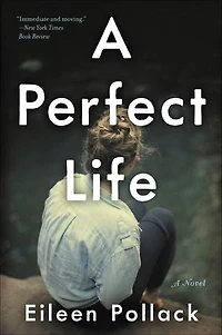 A Perfect Life: Novel