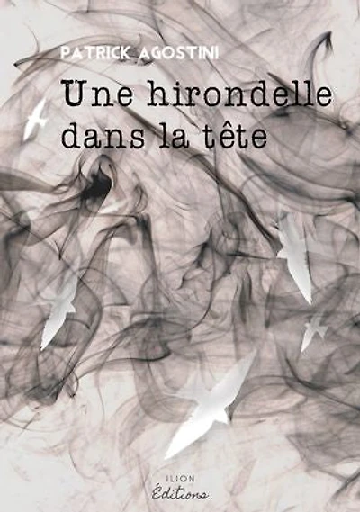 Une hirondelle dans la tête