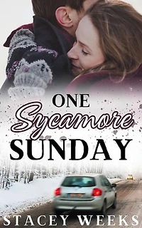 One Sycamore Sunday: a high-stakes, fast-paced, police procedural romance