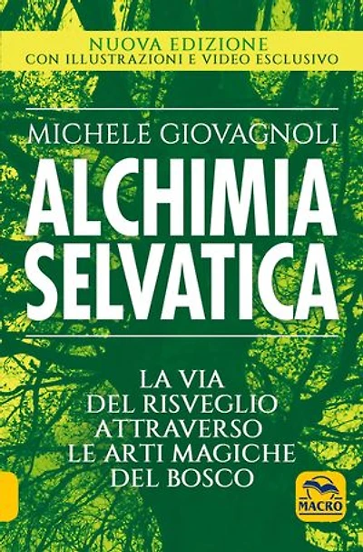 Alchimia Selvatica: La via del risveglio attraverso le arti magiche del bosco