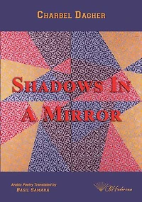 Shadows in a Mirror