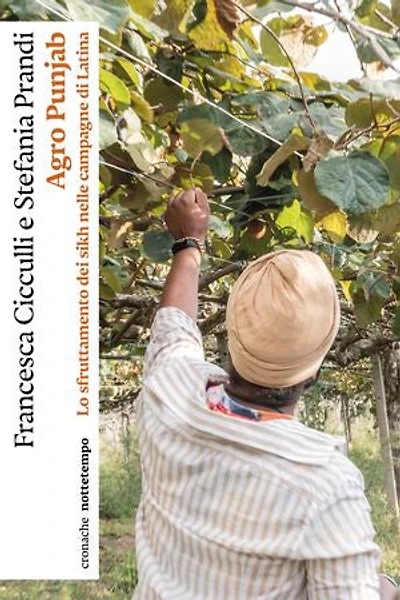 Agro Punjab: Lo sfruttamento dei sikh nelle campagne di Latina