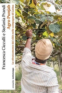 Agro Punjab: Lo sfruttamento dei sikh nelle campagne di Latina