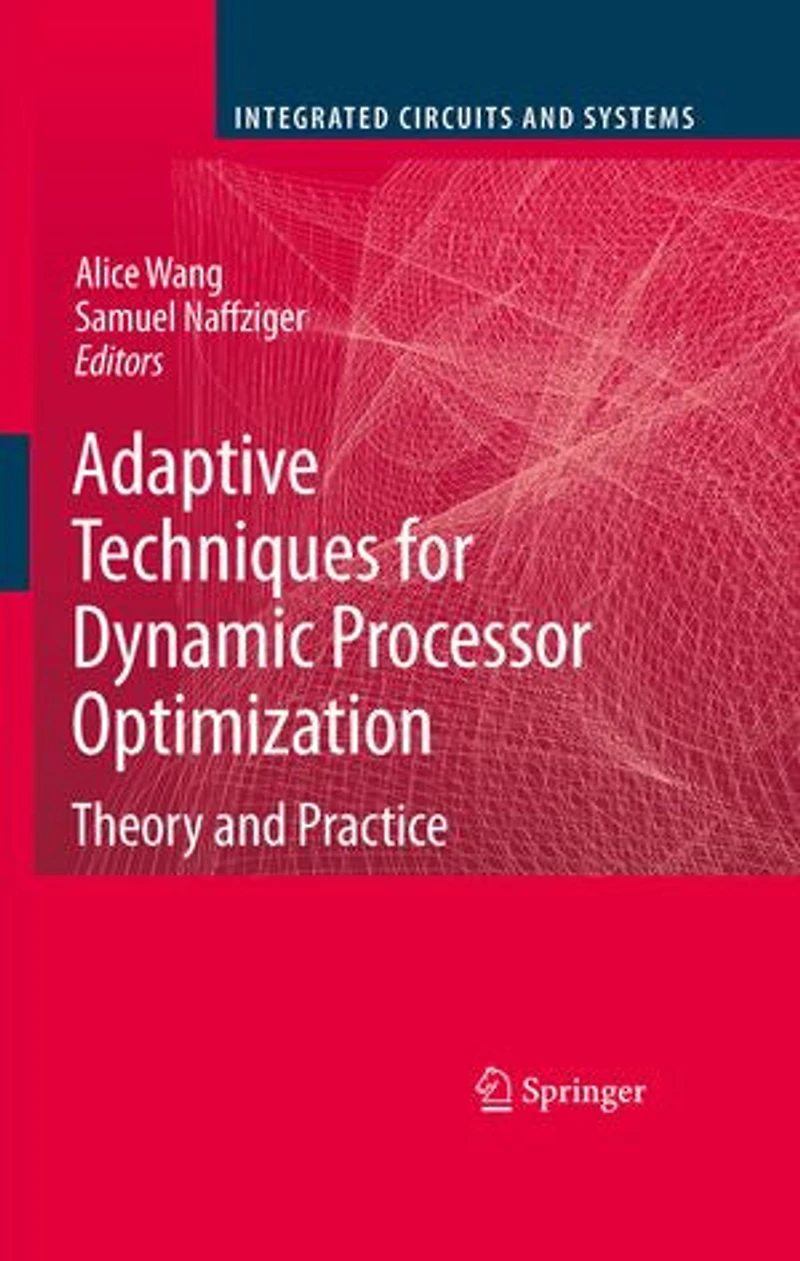 Adaptive Techniques for Dynamic Processor Optimization: Theory and Practice