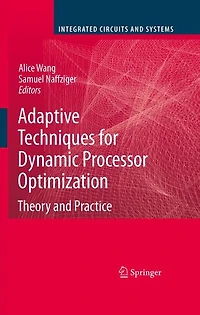 Adaptive Techniques for Dynamic Processor Optimization: Theory and Practice