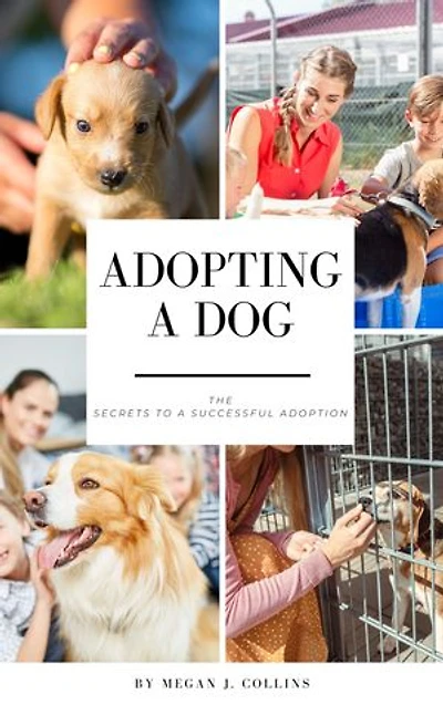 Adopting A Dog