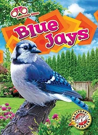 Blue Jays