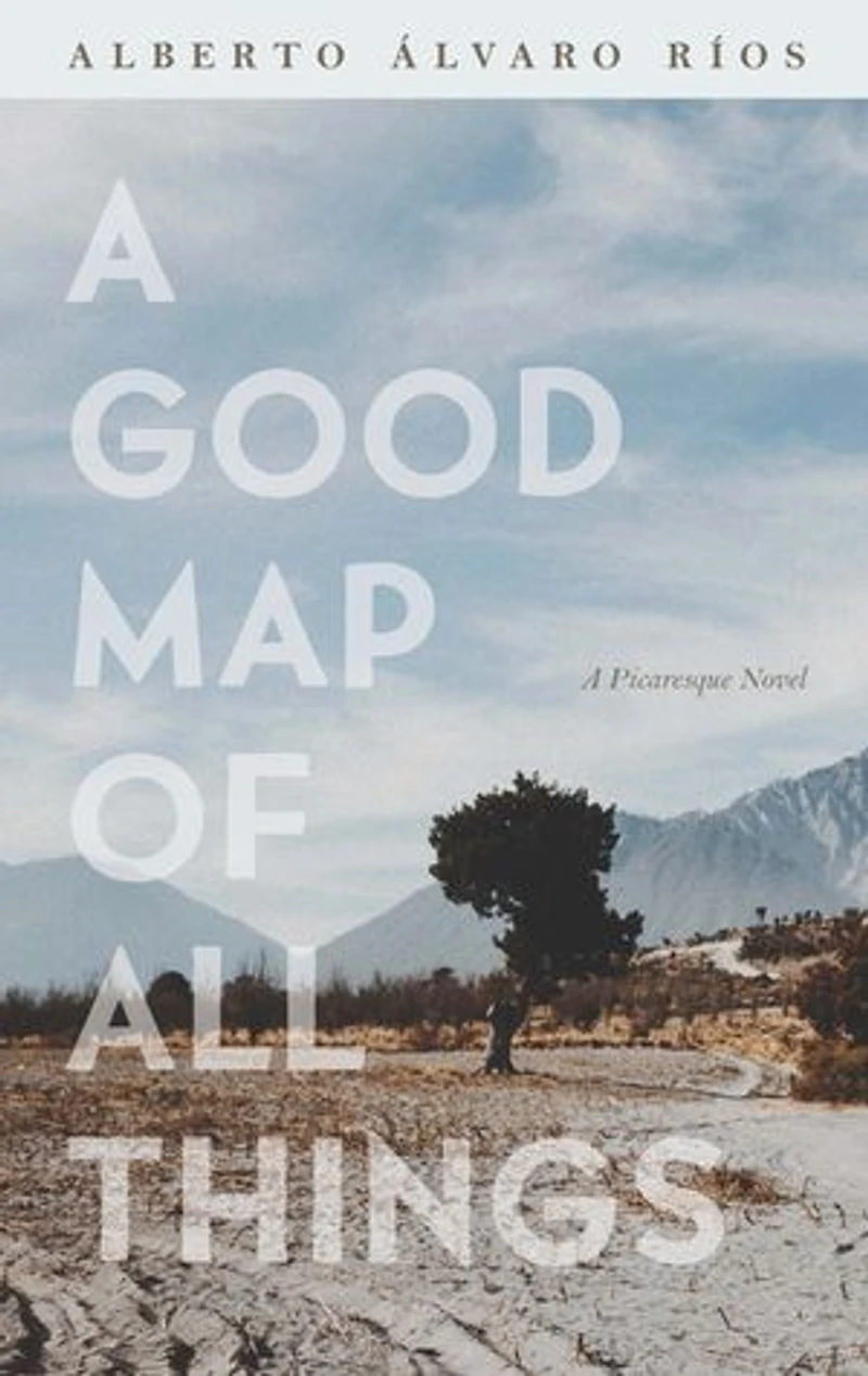 A Good Map of All Things: Picaresque Novel