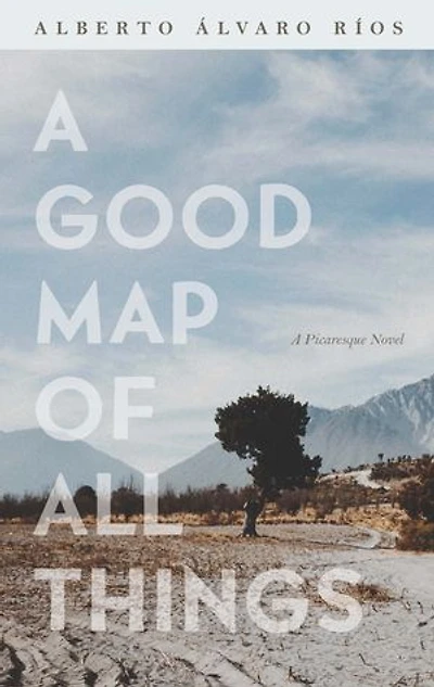 A Good Map of All Things: Picaresque Novel