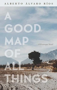 A Good Map of All Things: Picaresque Novel