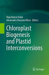 Chloroplast Biogenesis and Plastid Interconversions