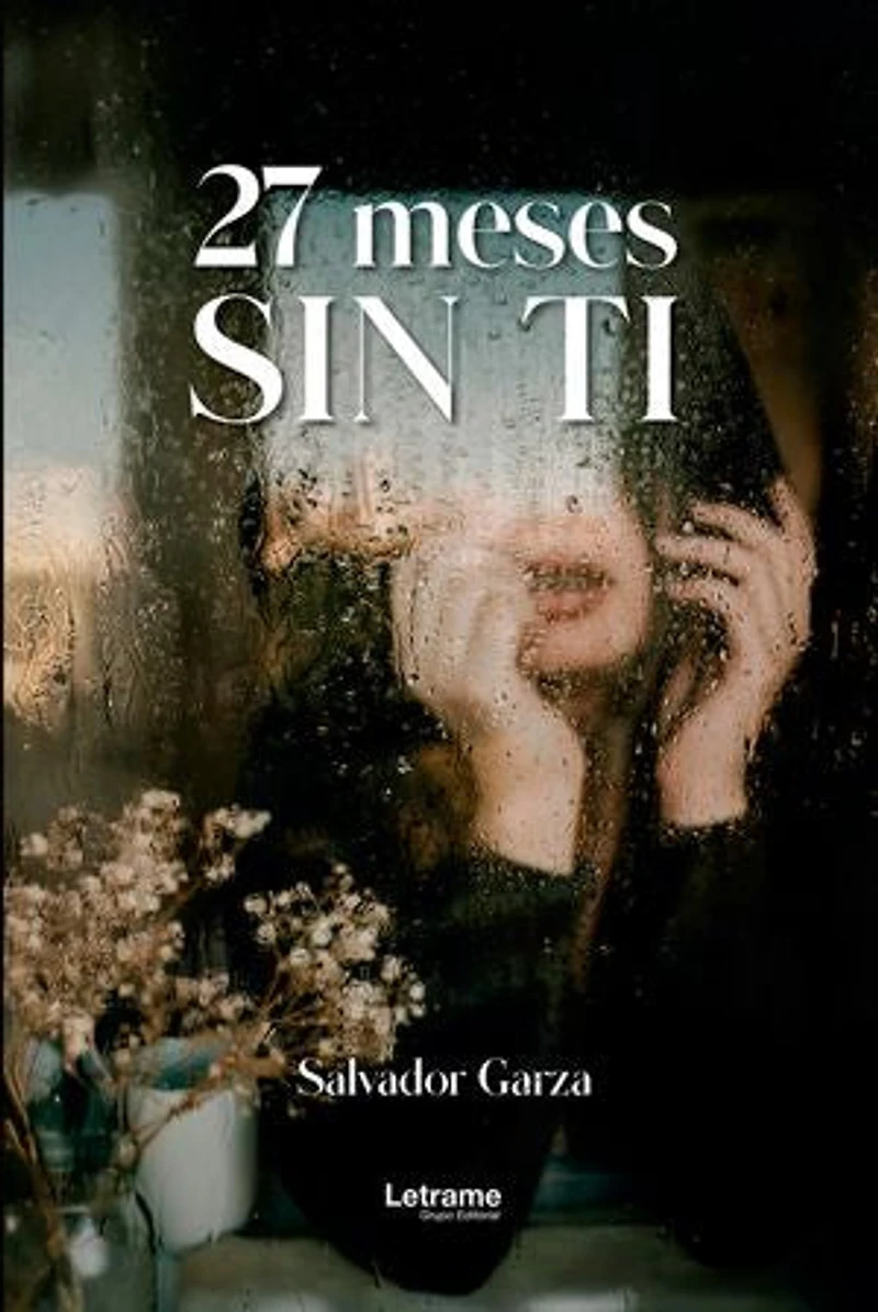 27 Meses sin ti