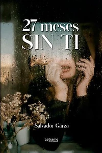 27 Meses sin ti