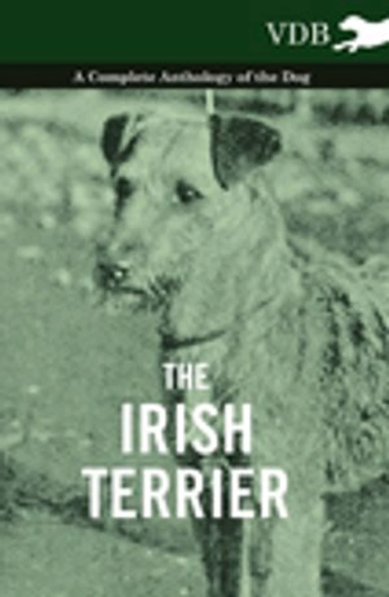 the Irish Terrier - A Complete Anthology of Dog
