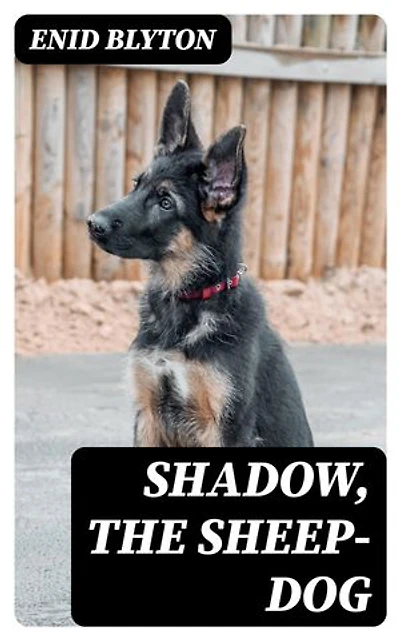 Shadow, the Sheep-Dog: Enriched edition.
