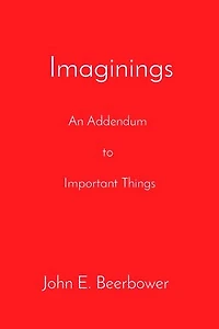 Imaginings: An Addendum to Important Things