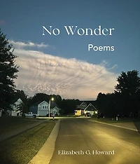 No Wonder: Poems