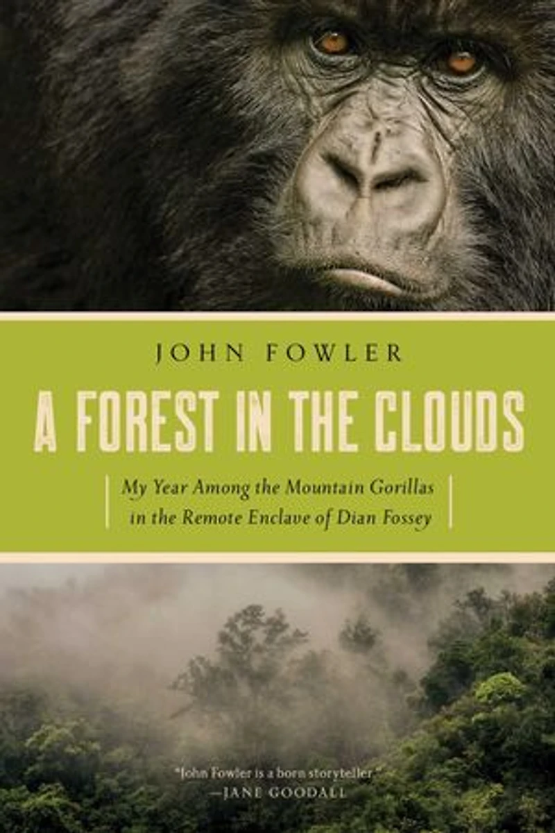 A Forest the Clouds