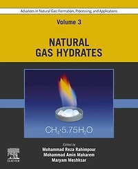Advances Natural Gas: Formation, Processing, and Applications. Volume 3: Gas Hydrates