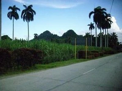 El Nexo del Horizonte