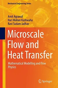 Microscale Flow And Heat Transfer: Mathematical Modelling Physics