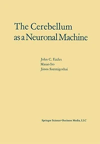The Cerebellum as a Neuronal Machine