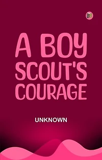 A Boy Scout's Courage