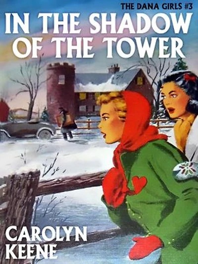 In the Shadow of the Tower: The Dana Girls #3