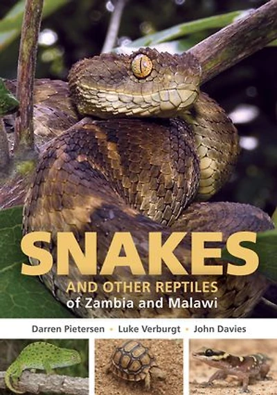 Field Guide To Snakes And Other Reptiles Of Zambia Malawi