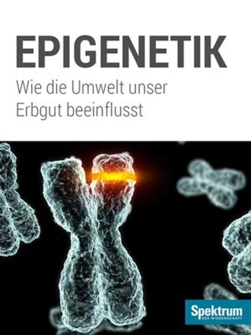 Spektrum Kompakt - Epigenetik: Wie die Umwelt unser Erbgut beeinflusst