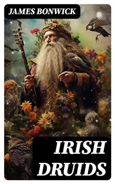 Irish Druids: Enriched edition.
